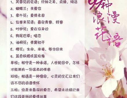 送女朋友花的花语，适合送给女生的花语！