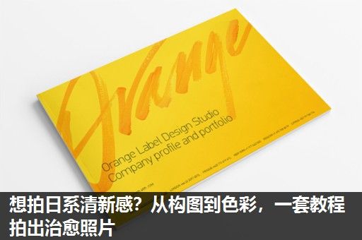 想拍日系清新感？从构图到色彩，一套教程拍出治愈照片