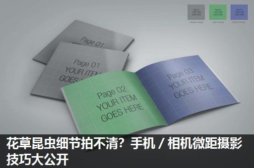 花草昆虫细节拍不清？手机／相机微距摄影技巧大公开
