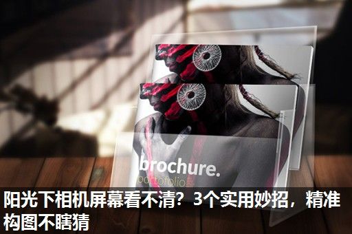 阳光下相机屏幕看不清？3个实用妙招，精准构图不瞎猜