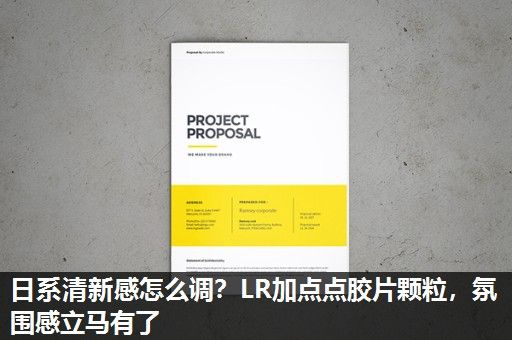 日系清新感怎么调？LR加点点胶片颗粒，氛围感立马有了