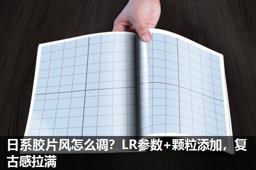 日系胶片风怎么调？LR参数+颗粒添加，复古感拉满
