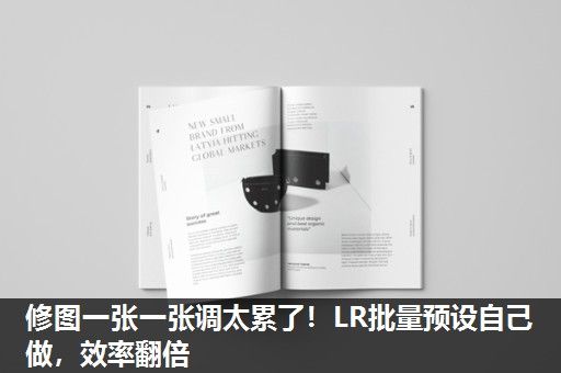 修图一张一张调太累了！LR批量预设自己做，效率翻倍