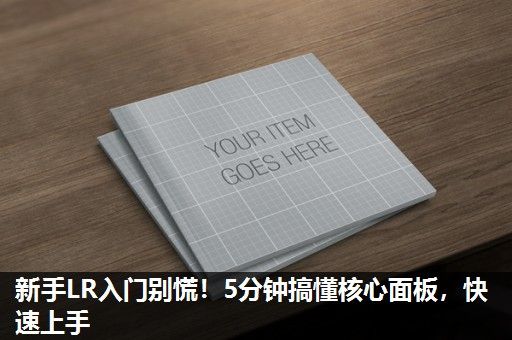 新手LR入门别慌！5分钟搞懂核心面板，快速上手