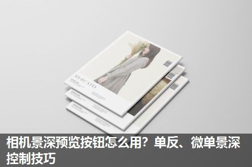 相机景深预览按钮怎么用?单反、微单景深控制技巧 相机景深预览按钮怎么用?单反、微单景深控制技巧