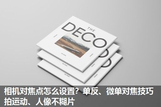 相机对焦点怎么设置？单反、微单对焦技巧拍运动、人像不糊片