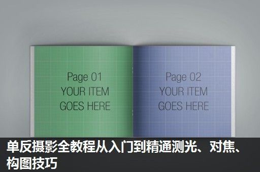 单反摄影全教程从入门到精通测光、对焦、构图技巧