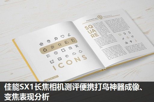 佳能SX1长焦相机测评便携打鸟神器成像、变焦表现分析