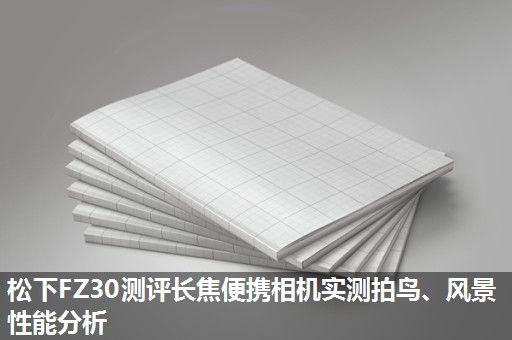松下FZ30测评长焦便携相机实测拍鸟、风景性能分析