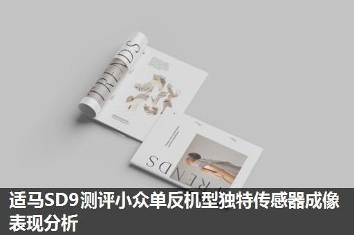 适马SD9测评小众单反机型独特传感器成像表现分析