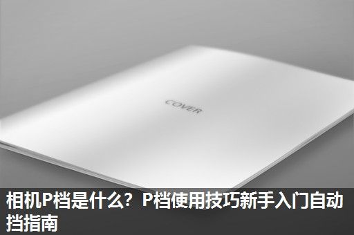 相机P档是什么？P档使用技巧新手入门自动挡指南