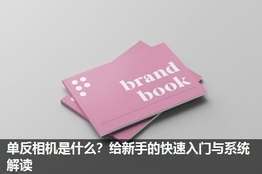 单反相机是什么？给新手的快速入门与系统解读