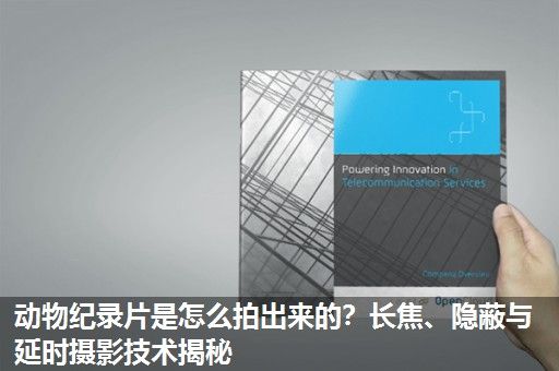 动物纪录片是怎么拍出来的?长焦、隐蔽与延时摄影技术揭秘 动物纪录片是怎么拍出来的?长焦、隐蔽与延时摄影技术揭秘