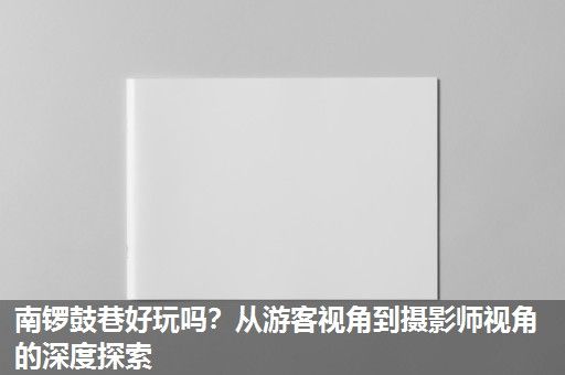 南锣鼓巷好玩吗？从游客视角到摄影师视角的深度探索
