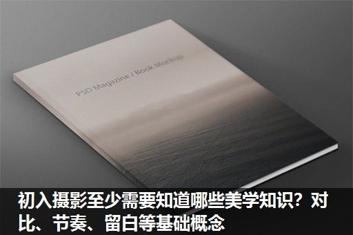 初入摄影至少需要知道哪些美学知识？对比、节奏、留白等基础概念