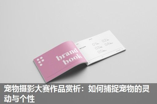 宠物摄影大赛作品赏析:如何捕捉宠物的灵动与个性 宠物摄影大赛作品赏析:如何捕捉宠物的灵动与个性