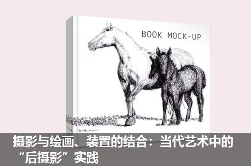 摄影与绘画、装置的结合：当代艺术中的“后摄影”实践
