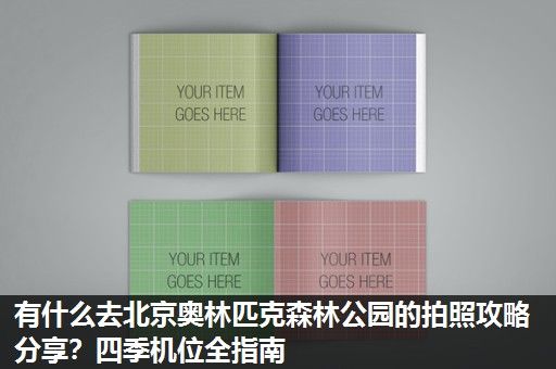 有什么去北京奥林匹克森林公园的拍照攻略分享？四季机位全指南