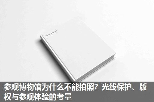 参观博物馆为什么不能拍照？光线保护、版权与参观体验的考量