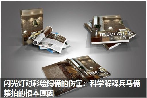 闪光灯对彩绘陶俑的伤害：科学解释兵马俑禁拍的根本原因