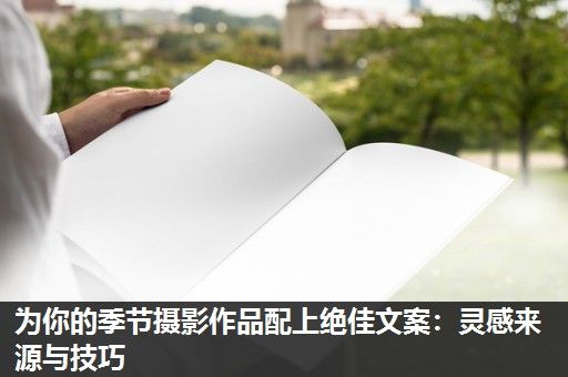 为你的季节摄影作品配上绝佳文案：灵感来源与技巧