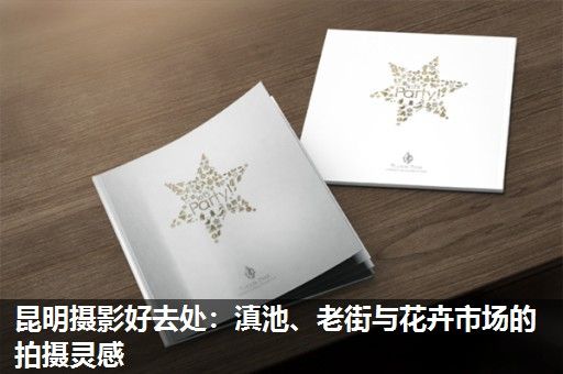 昆明摄影好去处：滇池、老街与花卉市场的拍摄灵感