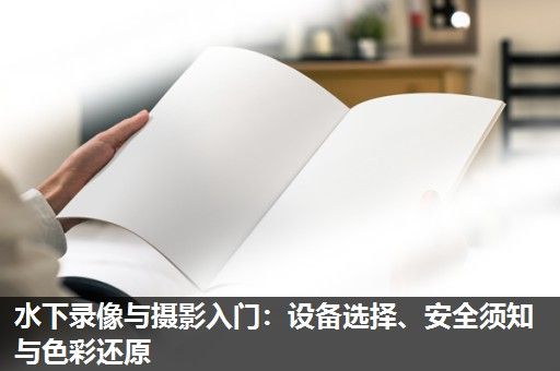 水下录像与摄影入门：设备选择、安全须知与色彩还原