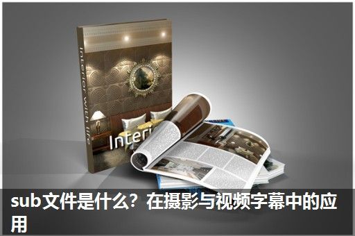 sub文件是什么？在摄影与视频字幕中的应用